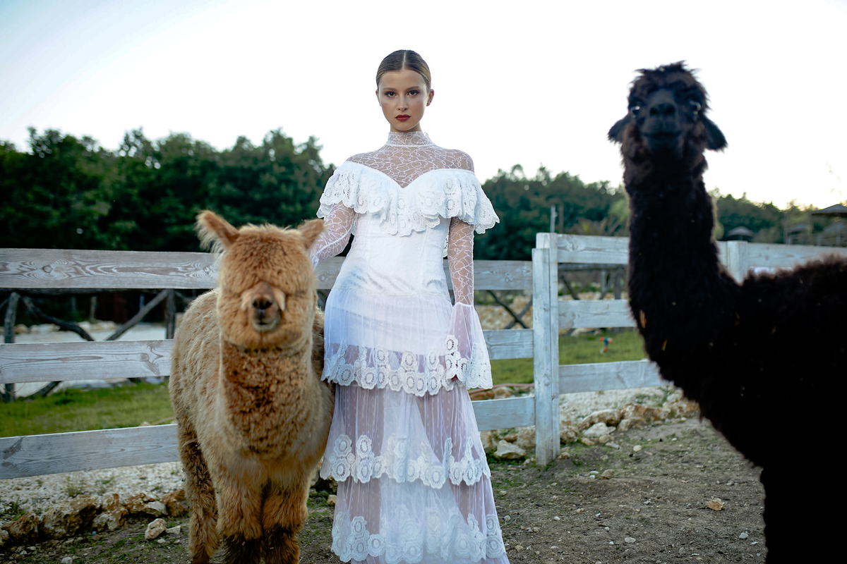 Victorian Lace Performance Dress Rental – The Quiet Vigil Couture Gown